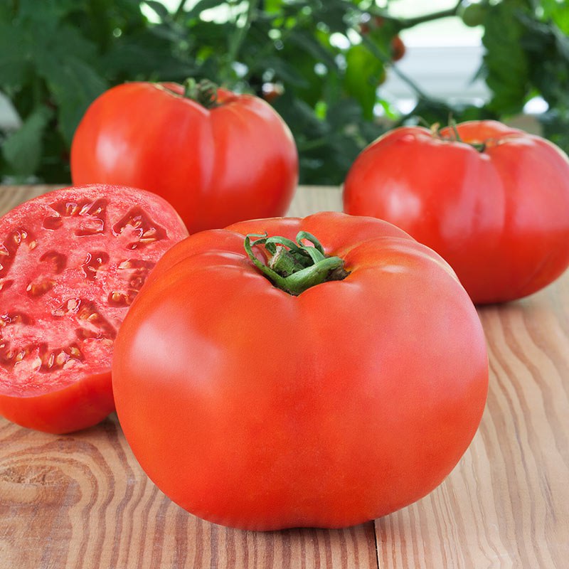 تعبیر خواب گوجه تعبیر خواب گوجه