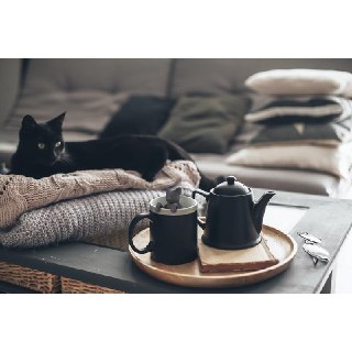 گربه در فال قهوه معنی گربه در فال قهوه گربه سیاه در فال قهوه نماد گربه گربه سیاه فال قهوه واقعی