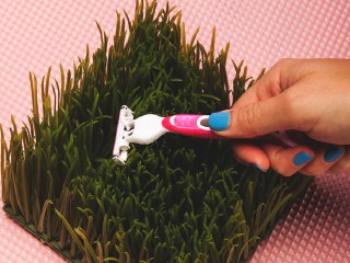 private part hair removal