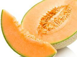 تعبیر خواب گرمک تعبیر خواب گرمک